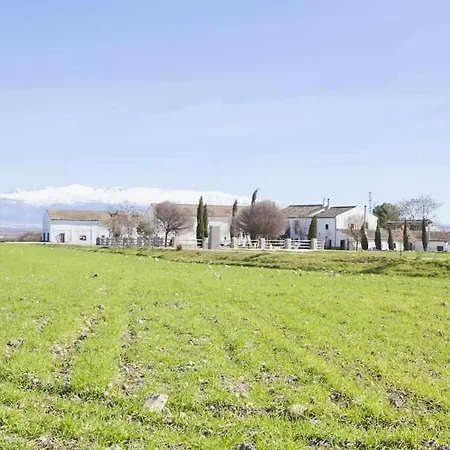El Cortijuelo